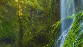 📱苔生した森と滝 iPhone 8 壁紙・待ち受け
