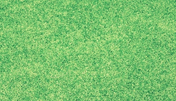 📱綺麗な緑の芝生 iPhone 6 壁紙・待ち受け