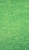 📱緑のグリーン 芝生 iPhone SE (第3世代) 壁紙・待ち受け