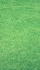 📱整えられている緑の芝生 iPhone 6s 壁紙・待ち受け