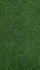 📱整えられた濃い緑の芝生 iPhone 6 壁紙・待ち受け