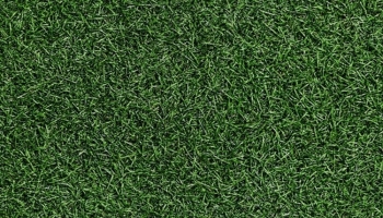 📱整えられた濃い緑の芝生 iPhone 6 壁紙・待ち受け