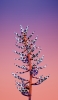 📱紫と白の斑な植物 iPhone 6s 壁紙・待ち受け