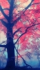 📱綺麗な赤い葉に染まる樹 iPhone SE (第3世代) 壁紙・待ち受け