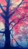 📱綺麗な赤い葉に染まる樹 iPhone SE (第2世代) 壁紙・待ち受け