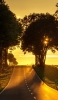 📱綺麗な夕焼けの景色 道路 iPhone 8 壁紙・待ち受け