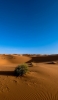 📱砂漠と草 iPhone 7 壁紙・待ち受け