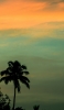 📱オレンジ・緑のグラデーションの空と椰子の木 iPhone 6s 壁紙・待ち受け