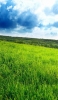 📱光射す青空と緑の草原 iPhone XR 壁紙・待ち受け