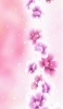 📱可愛いピンクの花 iPhone 11 壁紙・待ち受け