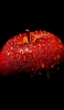 📱水滴のついた赤い林檎 iPhone XR 壁紙・待ち受け
