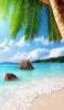 📱綺麗な南国の海と椰子の木 iPhone XR 壁紙・待ち受け