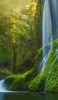 📱滝と川と森 iPhone 11 壁紙・待ち受け