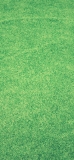 📱綺麗に刈り取られた芝生 iPhone 11 壁紙・待ち受け