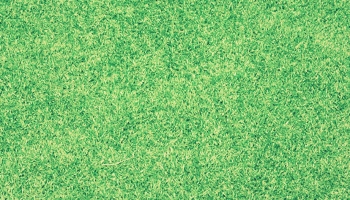 📱綺麗に刈り取られた芝生 iPhone 11 壁紙・待ち受け