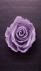 📱木の床に置いた紫の花 iPhone 11 壁紙・待ち受け