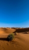 📱砂漠と草 iPhone 11 壁紙・待ち受け