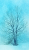 📱雪が降っている日の枯れ木 iPhone 11 壁紙・待ち受け