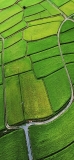 📱緑広がる田舎の田園風景 iPhone 11 壁紙・待ち受け