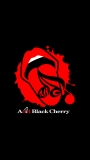 📱Acid Black Cherry 黒 iPhone SE (第2世代) 壁紙・待ち受け