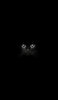 📱暗闇の中の黒猫 iPhone 13 Pro Max 壁紙・待ち受け