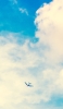 📱綺麗な夏空と飛行機 iPhone 12 壁紙・待ち受け