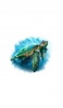 📱水彩のウミガメ Xperia 8 Lite 壁紙・待ち受け