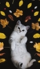 📱寝そべる猫と葉っぱ iPhone 13 mini 壁紙・待ち受け