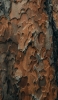 📱灰色と茶色の朽ちた木のテクスチャー Google Pixel 5 壁紙・待ち受け