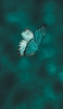 📱めちゃくちゃ綺麗な緑の蝶 iPhone 12 mini 壁紙・待ち受け