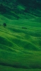 📱緑豊かな丘陵地帯 Xiaomi 11T 壁紙・待ち受け