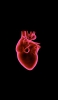 📱心臓 静脈 医学 解剖学 iPhone SE (第3世代) 壁紙・待ち受け