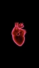 📱心臓 静脈 医学 解剖学 iPhone 12 mini 壁紙・待ち受け