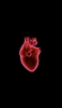 📱心臓 静脈 医学 解剖学 iPhone 12 壁紙・待ち受け