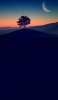 📱丘の上の大木と月 iPhone SE (第2世代) 壁紙・待ち受け