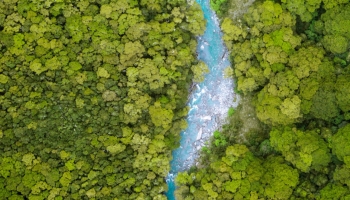 📱俯瞰視点 ジャングル 木々の流れる川 iPhone 13 壁紙・待ち受け