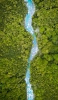 📱俯瞰視点 ジャングル 木々の流れる川 Google Pixel 6 Pro 壁紙・待ち受け