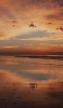 📱湖に鏡面する夕暮れの空 Google Pixel 6 Pro 壁紙・待ち受け