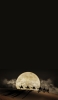 📱月の砂漠 ラクダのキャラバン iPhone 6s 壁紙・待ち受け
