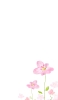 📱水彩で描かれた綺麗な花のイラスト Mi 10 Lite 5G 壁紙・待ち受け