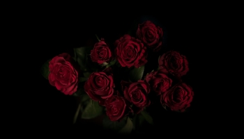 📱薔薇 花束 綺麗 iPhone 6 壁紙・待ち受け