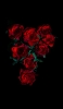📱綺麗な薔薇の花 高画質 iPhone 12 壁紙・待ち受け