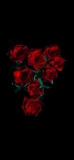 📱綺麗な薔薇の花 高画質 iPhone 13 壁紙・待ち受け