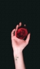 📱薔薇を持つ右手 iPhone 12 mini 壁紙・待ち受け