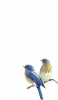 📱幸せの青い鳥 ルリビタキ iPhone 6 壁紙・待ち受け