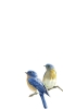 📱幸せの青い鳥 ルリビタキ iPhone SE (第3世代) 壁紙・待ち受け