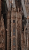 📱スペイン バルセロナの教会 サグラダ・ファミリア Google Pixel 4a 壁紙・待ち受け