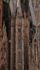 📱スペイン バルセロナの教会 サグラダ・ファミリア iPhone 12 Pro Max 壁紙・待ち受け