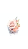 📱淡いピンクの花・薔薇 iPhone 13 mini 壁紙・待ち受け
