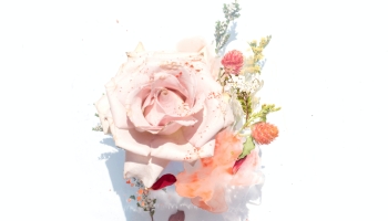 📱淡いピンクの花・薔薇 Redmi Note 10 JE 壁紙・待ち受け